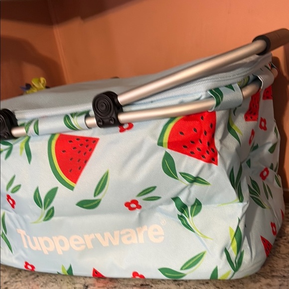Tupperware Blue Picnic Basket with Watermelon Design - Picture 2 of 8